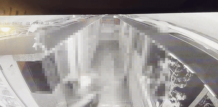 중국동포로 구성된 범죄단체가 서울구로구 가리봉동의 한 노래방에서 여성을 폭행하는 장면. /영상제공=서울경찰청