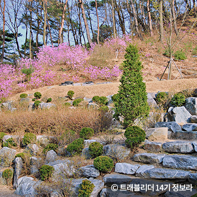 원주식물원 이미지