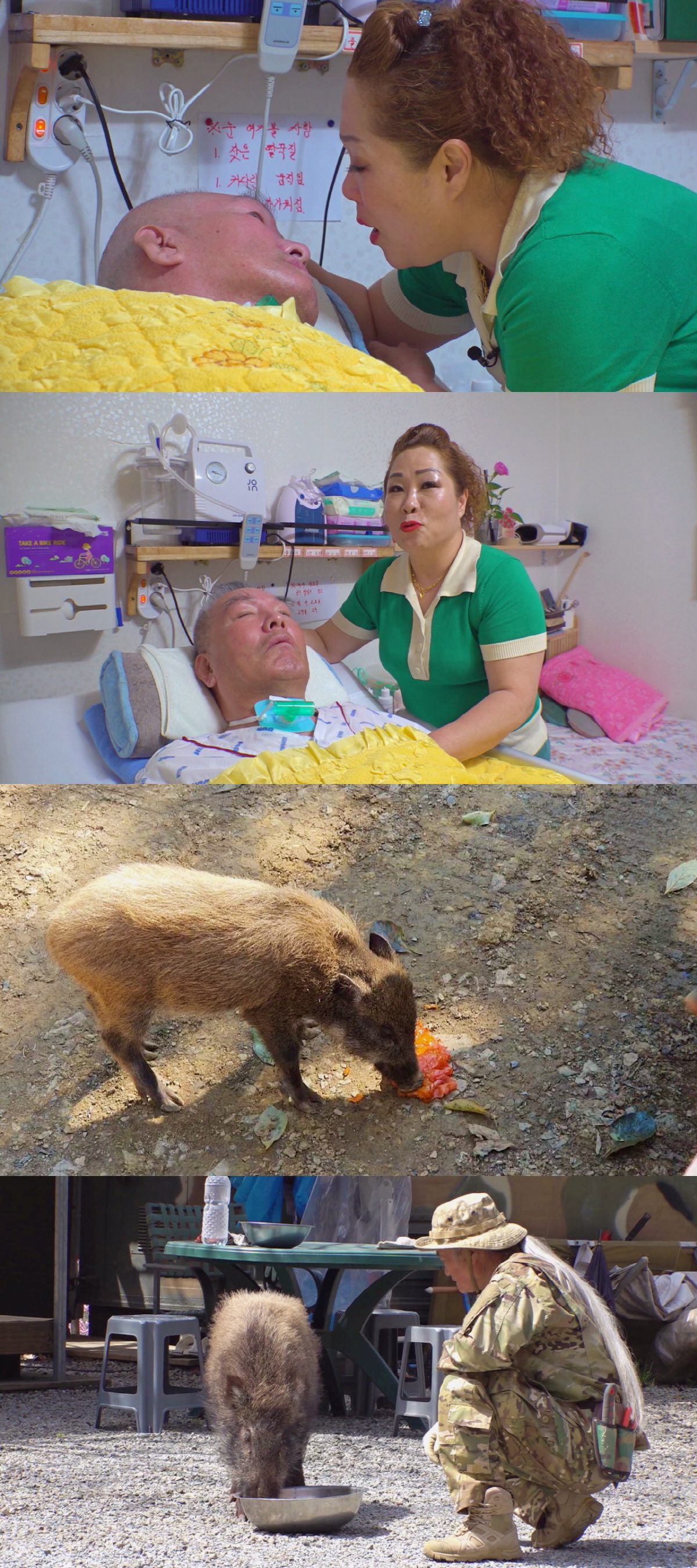 간병24 이미지