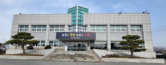 꽃나비다육 이미지
