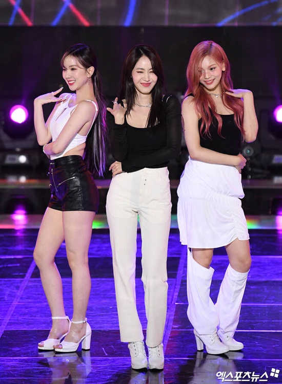 보니 이미지