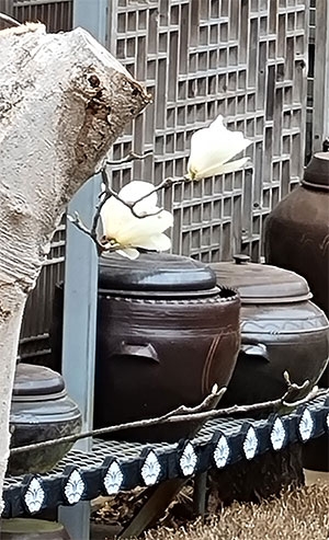 흙과불전통옹기 이미지