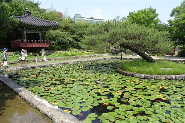보통공원 이미지