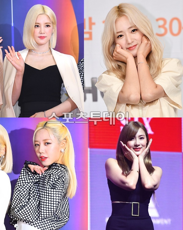 초이크리에이티브랩 이미지
