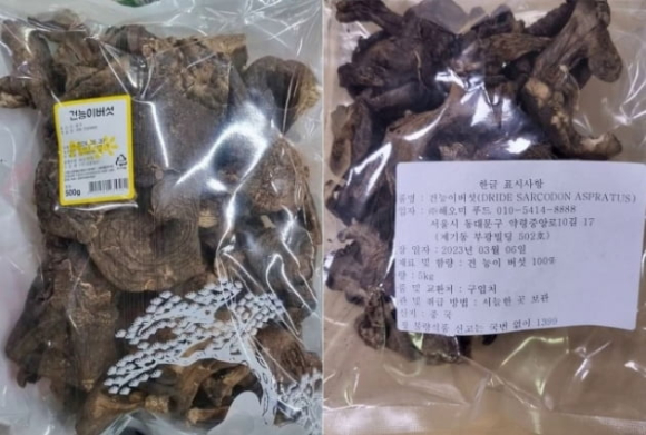능이랑 이미지