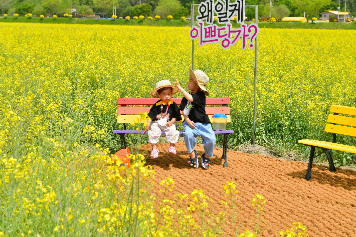 장성 이미지