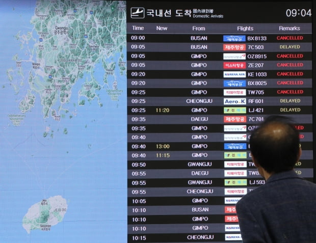 제주동동 이미지