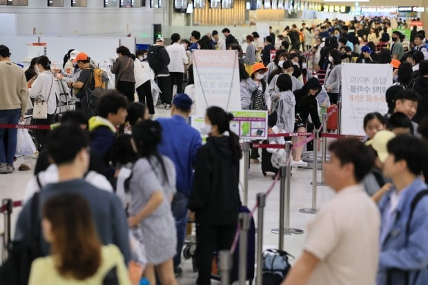 제주동동 이미지