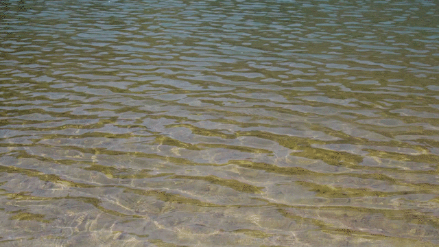 The pond at Samseong-gung (Lee Si-jin/The Korea Herald)