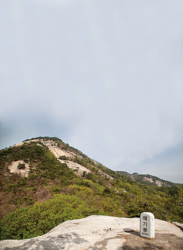 정상석 이미지