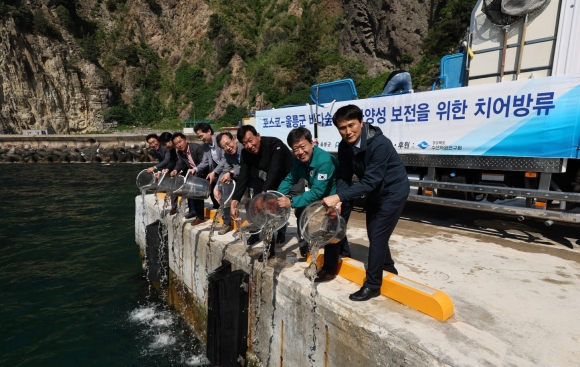 바다;숲 이미지