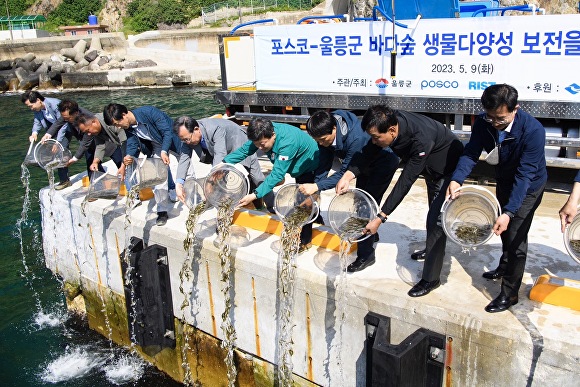 바다;숲 이미지