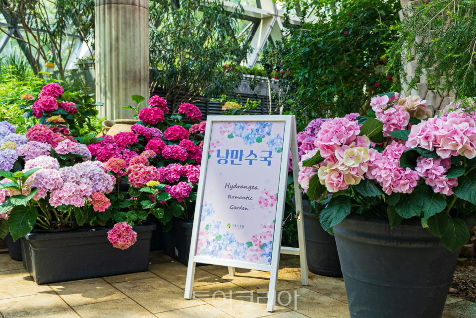 서울꽃식물원 이미지