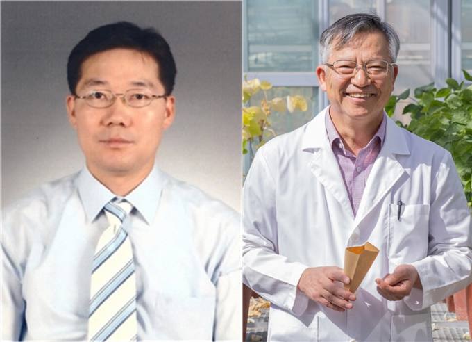 백세농업 이미지