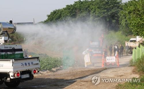 청주 보은 한우 이미지