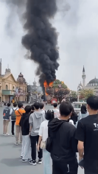 동영상=김성하 씨 제공