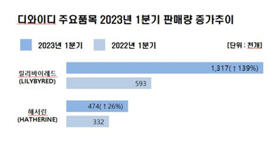 디와이디 이미지