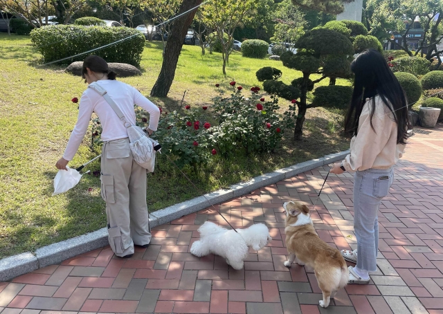 영진환경 이미지