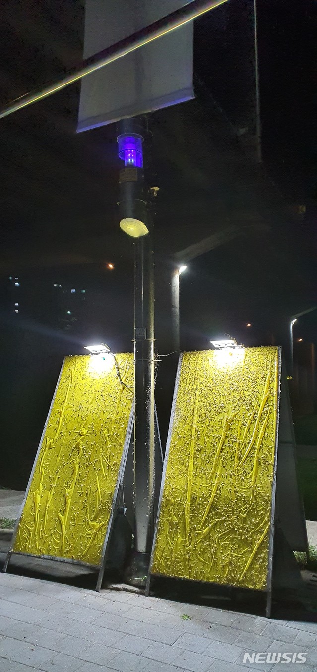 동양 이미지