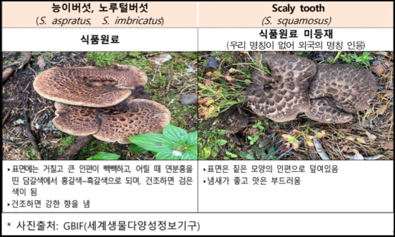 이레식품상사 이미지