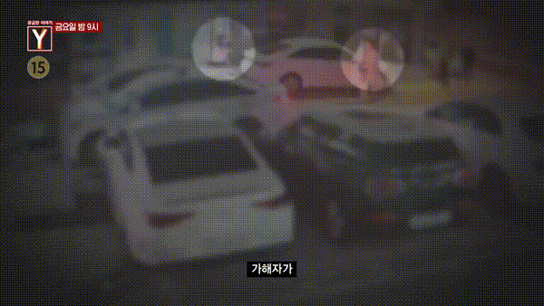 (SBS '궁금한 이야기Y' 갈무리)