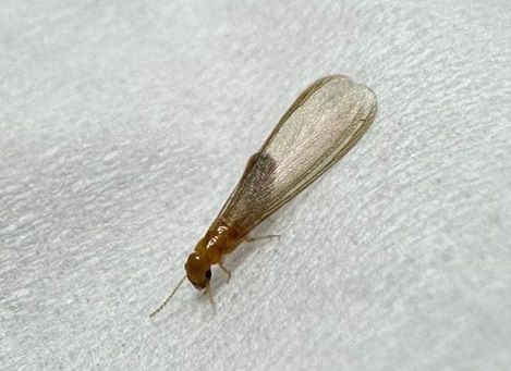 바글바글 이미지