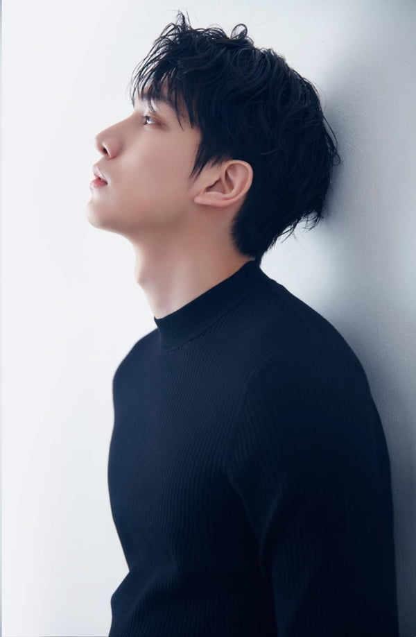 컴패니언 이미지