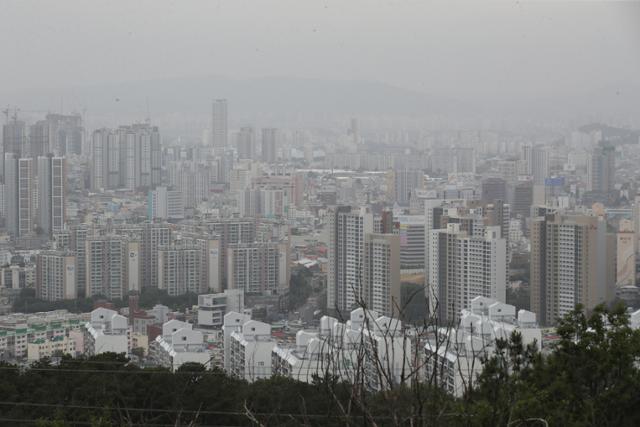 오후에서밤까지 이미지