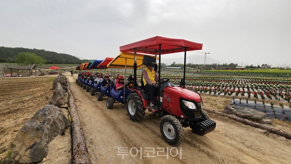 깡통열차 이미지