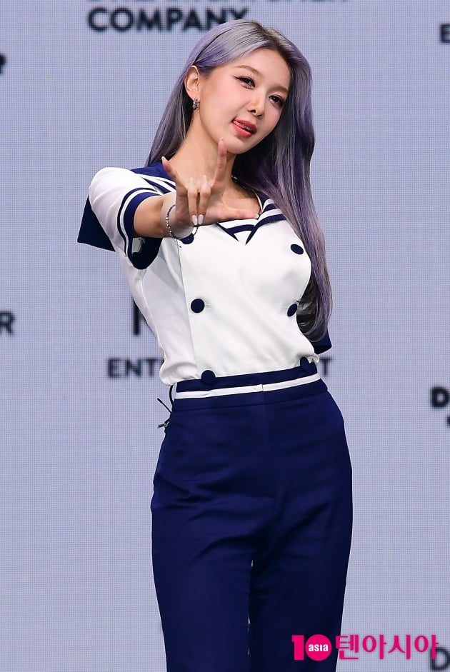 다미 이미지