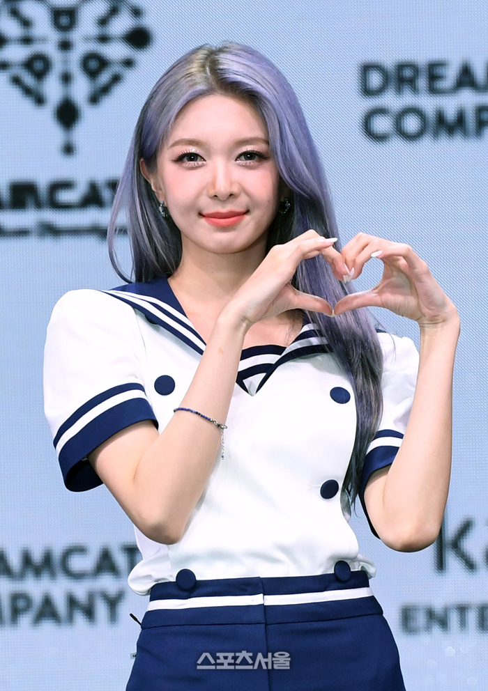 다미 이미지
