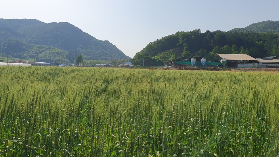 참미원 이미지
