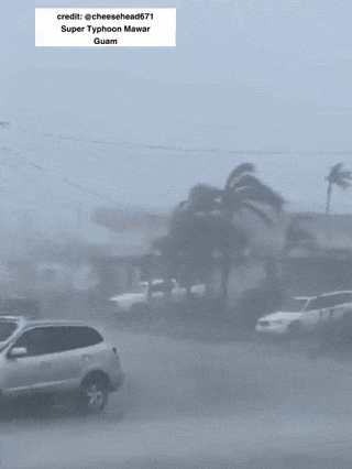 사진=트위터 갈무리