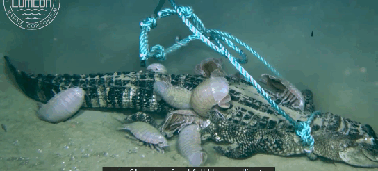 [LUMCON 유튜브 채널 캡쳐]