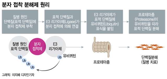 대웅조명 이미지