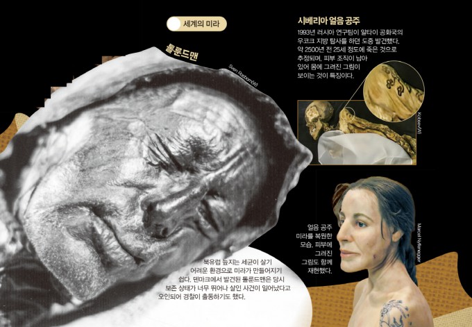 미라네 이미지