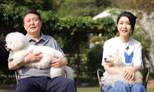 동물농장 이미지