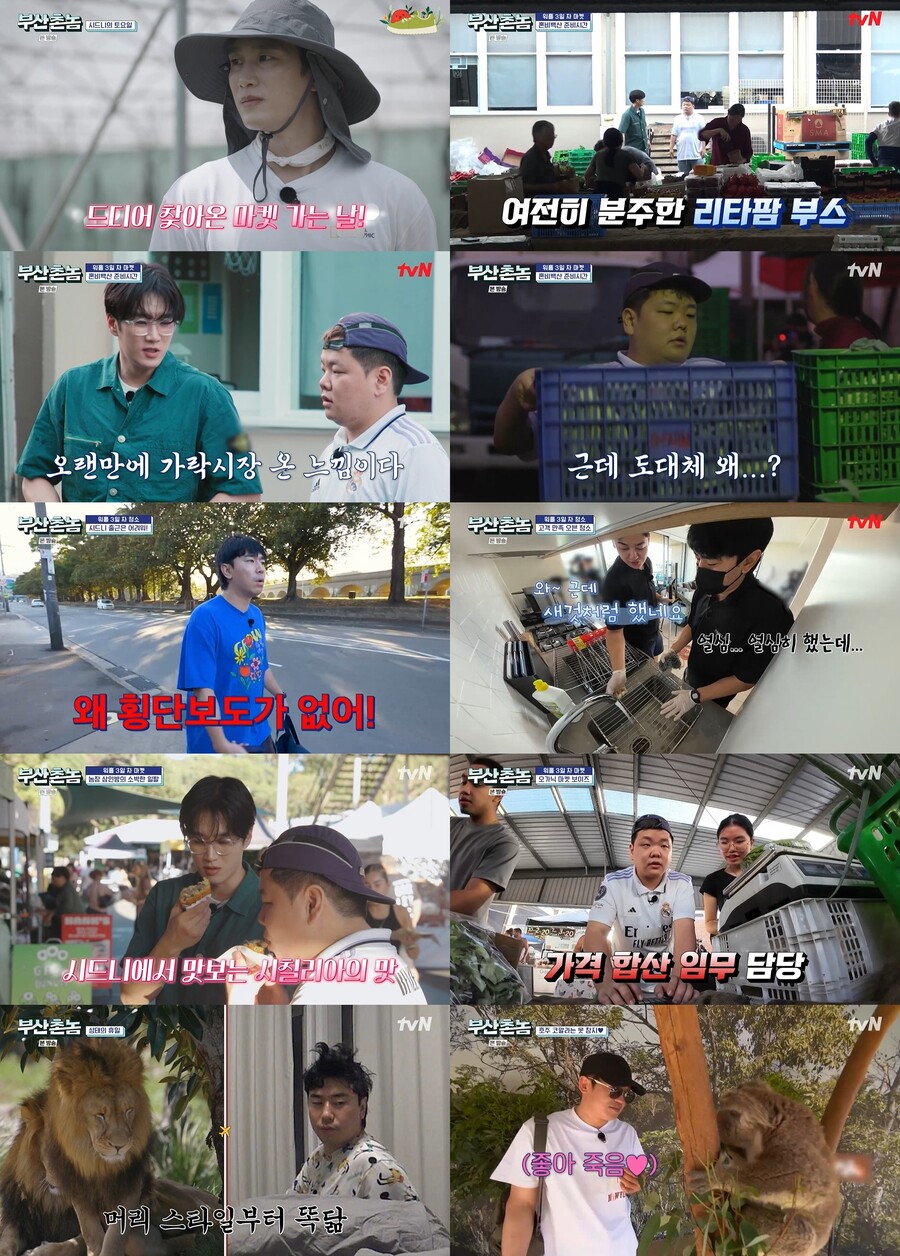부산촌놈 이미지