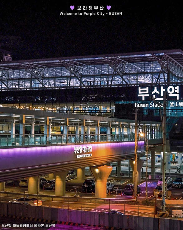 섬 사진 4