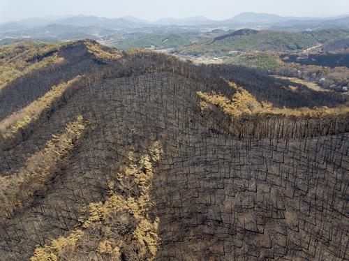 대한건축사협회충남건축사회 이미지