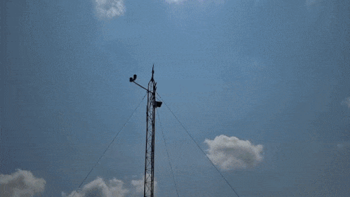 미국 오클라호마주 노먼에 설치돼 있는 메조넷 창립자 중 한명인 고(故) 켄 크로퍼드 기상선진화추진단장(오클라호마대 석좌교수) 추모 기상관측 장비 ⓒ 뉴스1 황덕현 기자