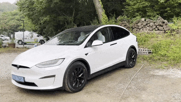 Tesla Model X's falcon wing doors [SARAH CHEA]