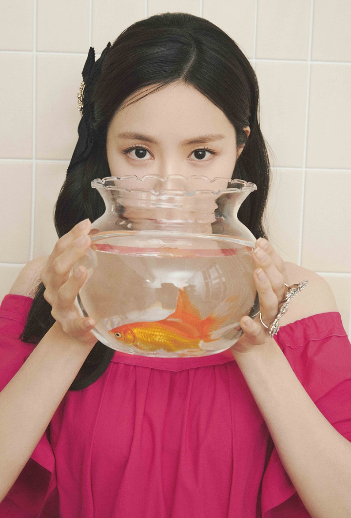 제이제이(JJ)디자인 이미지