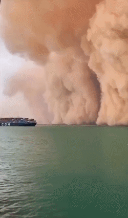 수에즈 운하를 덮치는 모래폭풍. @clipsthatgohard 트위터 캡처