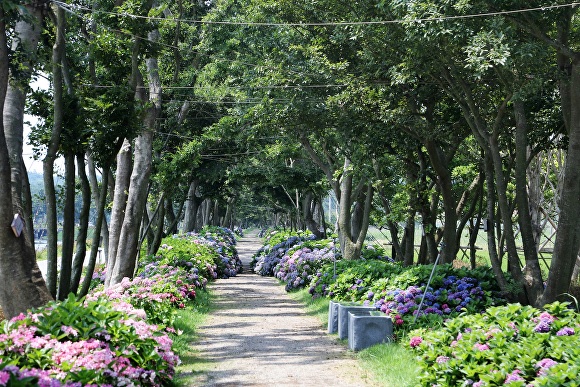 환상주민 이미지