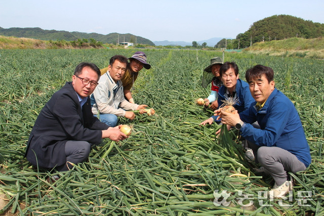 영순농업협동조합 이미지