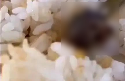 대학식당 이미지