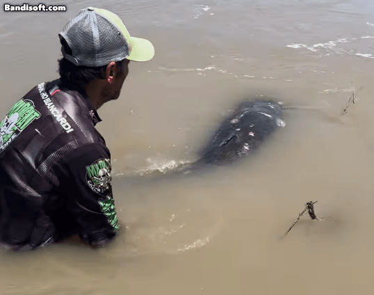 메기를 풀어주는 비안카르디  [사진출처=비안카르디 인스타그램]