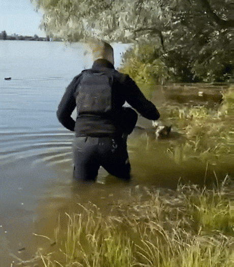 물에 빠진 개 구조하는 우크라이나 경찰. 온라인 커뮤니티 캡처