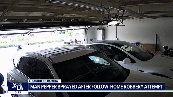 미국 캘리포니아주의 한 주택가에서 75세 한인 남성이 주먹을 휘둘러 강도를 쫓았다. (폭스뉴스 갈무리)